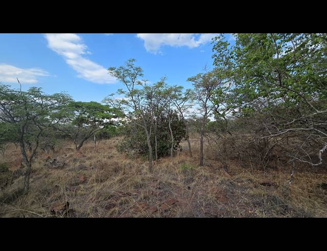 2,500M² VACANT LAND FOR SALE IN VERLOREN ESTATE